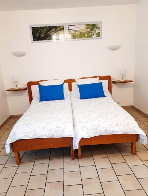 Les Albizias 5 Daire Eugenie-les-Bains Dış mekan fotoğraf